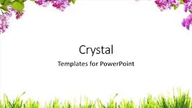  Presentation with white flowers - Audience pleasing theme consisting of adjetives - spring flowers and green grass backdrop and a white colored foreground