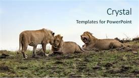  Presentation with interaction - Colorful PPT layouts enhanced with adolescents have left their pride backdrop and a sky blue colored foreground