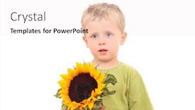  Presentation with sunflower - PPT theme featuring adorable 3-4 years old boy with sunflower isolated on white background and a sky blue colored foreground