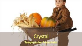  Presentation with lift - Amazing PPT layouts having adorable baby boy attempting to lift a pumpkin from a small wheelbarrow isolated on white backdrop and a tawny brown colored foreground