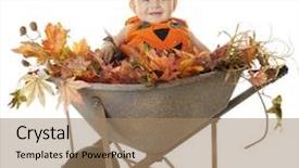  Presentation with fall foliage - Audience pleasing slides consisting of adorable baby boy dressed as a pumpkin happily sitting in a rustic wheelbarrow among fall foliage on a white background backdrop and a coral colored foreground