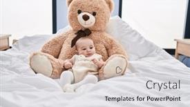  Presentation with baby bear - Presentation theme consisting of adorable-baby-relaxed-lying background and a light gray colored foreground
