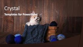  Presentation with yarn - Colorful slide deck enhanced with adorable-calico-kitten backdrop and a tawny brown colored foreground