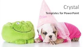  Presentation with princess - Slides with adorable english bulldog puppy dressed like a princess on white background background and a white colored foreground