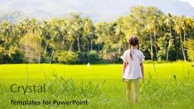  Presentation with rice fields - Cool new presentation with adorable-girl-enjoying-beautiful-evening backdrop and a gold colored foreground