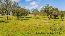  Presentation with february - Cool new slides with adorable-green-lawn-with-blooming backdrop and a gold colored foreground