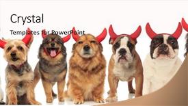  Presentation with dogs - Colorful PPT theme enhanced with wearing red devil horns collage backdrop and a lemonade colored foreground