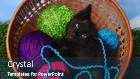  Presentation with yarn - 