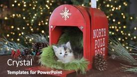  Presentation with holiday - PPT layouts having adorable-kitten-in-a-holiday background and a tawny brown colored foreground