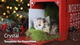  Presentation with holiday - Cool new PPT layouts with adorable-kitten-in-a-holiday backdrop and a tawny brown colored foreground