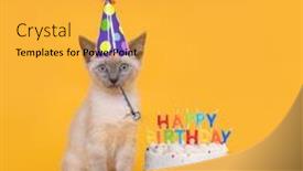  Presentation with birthday celebration - Beautiful slide set featuring adorable-kitten-on-yellow backdrop and a yellow colored foreground