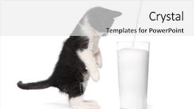  Presentation with hello kitty cute little kitten - Cool new theme with adorable kitten watching milk pour backdrop and a white colored foreground