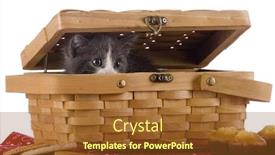  Presentation with foods - Amazing slide deck having adorable kitty peeking out of a small picnic basket surrounded by snack foods isolated on white backdrop and a tawny brown colored foreground