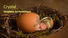  Presentation with eggshell - Slide deck enhanced with adorable-little-newborn-baby-boy background and a tawny brown colored foreground