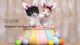  Presentation with easter basket - Presentation theme featuring adorable pair of kittens inside an easter basket background and a mint green colored foreground