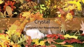  Presentation with fall foliage - Amazing PPT theme having adorable pitbull puppy napping backdrop and a gold colored foreground