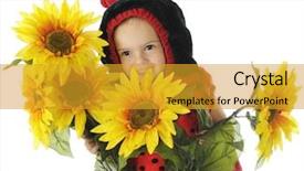  Presentation with ladybug - Beautiful presentation theme featuring adorable preschool ladybug happily peeking over a bunch of bright yellow sunflowers on a white background backdrop and a gold colored foreground
