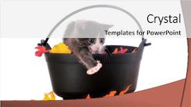  Presentation with displaying - Colorful slide deck enhanced with adorable screaming kitten displaying his claws from a black cauldron filled with colorful fall leaves isolated on white backdrop and a white colored foreground