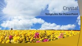  Presentation with pink sky - Audience pleasing slides consisting of adorable-yellow-and-pink-garden backdrop and a light blue colored foreground