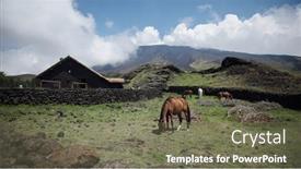  Presentation with refuge - 