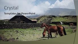  Presentation with refuge - 