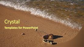  Presentation with tropical beach party - Amazing slide deck having adrift - tropical beach and surf backdrop and a tawny brown colored foreground