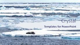  Presentation with north pole - Slide deck with adult-bearded-seal-sleeps background and a light blue colored foreground