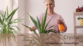  Presentation with elderly care - Slides with adult-elderly-woman-takes-care background and a coral colored foreground