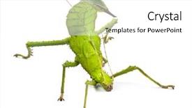  Presentation with jungle - Colorful presentation design enhanced with close-up of human eye with visual effects and double exposure skyscrapers and the mountains on the background duble exposure backdrop and a sky blue colored foreground