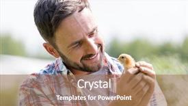  Presentation with chick - Amazing theme having adult man holding small chick backdrop and a coral colored foreground
