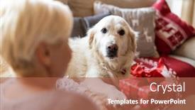  Presentation with dog christmas - Slides featuring adult-woman-and-her-dog background and a red colored foreground