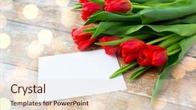  Presentation with valentines - Cool new slides with advertisement valentines day greeting and holidays concept - close up of red tulips and blank paper or letter on wooden background over lights backdrop and a lemonade colored foreground