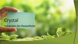  Presentation with advertising campaign - Slides enhanced with advertising campaign - hand holding blank paper card background and a yellow colored foreground