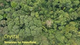  Presentation with rainforest - PPT theme consisting of aerial drone photo of rainforest in southeast asia background and a tawny brown colored foreground