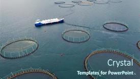  Presentation with fish farm - PPT layouts enhanced with aerial-drone-photo-over-fish background and a ocean colored foreground