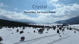  Presentation with wilderness - Presentation design having aerial-drone-shot-over-leafless background and a light blue colored foreground