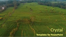  Presentation with rice fields - Amazing PPT theme having aerial drone view of beautiful rice fields in bali indonesia backdrop and a tawny brown colored foreground