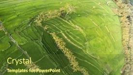  Presentation with rice fields - PPT theme enhanced with aerial drone view of beautiful rice fields in bali indonesia background and a tawny brown colored foreground