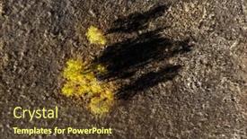  Presentation with fall mountains - Slide deck consisting of aerial-drone-view-of-fall background and a tawny brown colored foreground