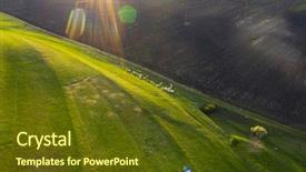  Presentation with sheep - Cool new slides with aerial drone view of herd backdrop and a tawny brown colored foreground