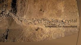  Presentation with sheep - Beautiful PPT theme featuring aerial-drone-view-of-herd backdrop and a coral colored foreground