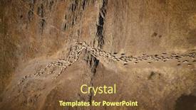  Presentation with sheep - Amazing PPT theme having aerial-drone-view-of-herd backdrop and a tawny brown colored foreground