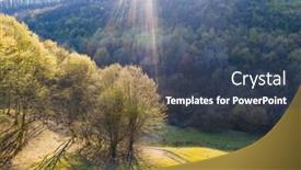  Presentation with drone - Audience pleasing slides consisting of aerial-drone-view-spring-forest backdrop and a tawny brown colored foreground