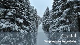  Presentation with forest road - Presentation theme having aerial-drone-view background and a ocean colored foreground