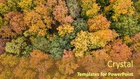  Presentation with fall leaves - PPT layouts having aerial-fall-panoramic-landscape background and a tawny brown colored foreground