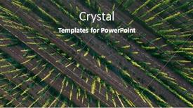  Presentation with morning sunrise - Theme featuring aerial-fly-over-hop-farm background and a dark gray colored foreground