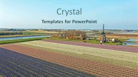  Presentation with windmill - Presentation theme having aerial-from-flower-fields background and a sky blue colored foreground