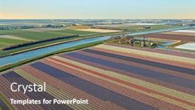  Presentation with windmill - PPT theme having aerial-from-flower-fields background and a violet colored foreground
