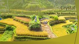  Presentation with rice terraces - PPT theme with aerial-from-jatiluweh-rice-terraces background and a yellow colored foreground