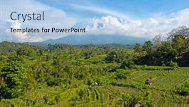  Presentation with rice fields - Theme consisting of aerial-from-rice-fields background and a light blue colored foreground